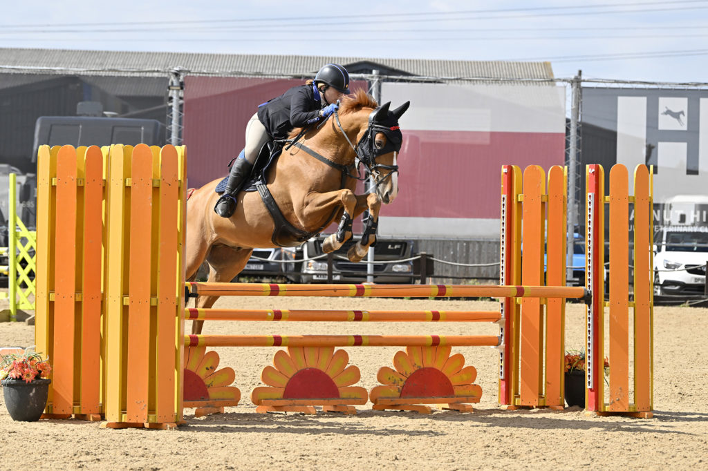 Dengie Announces New Feed For Horses With Gastric Ulcers