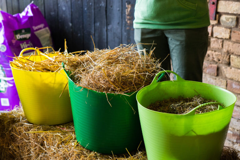 Different types of forage for horses