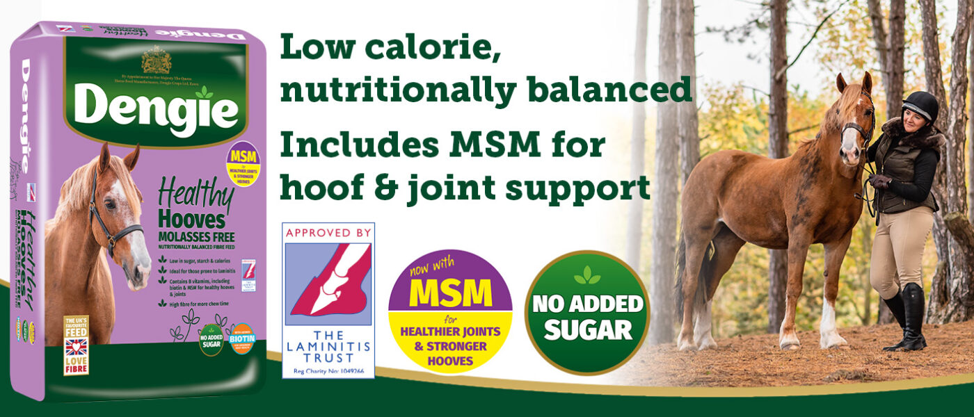 Healthy Hooves Molasses Free Product Banner