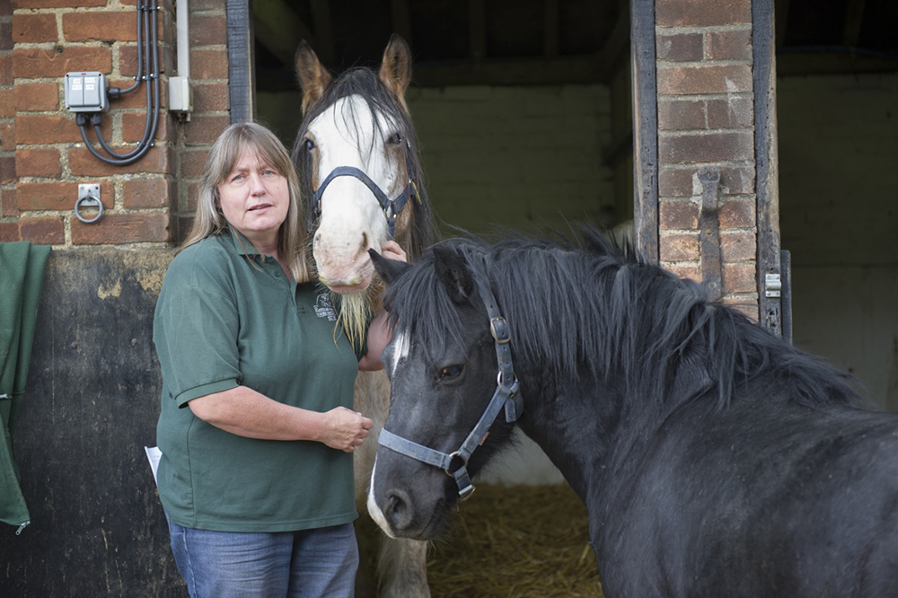 Sue Burton of Remus Horse Sanctuary