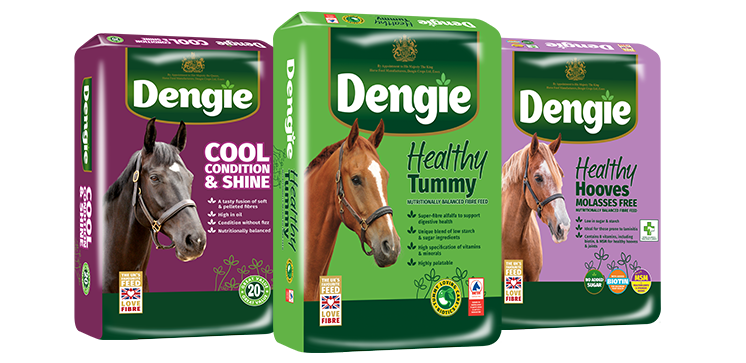 Dengie Healthy Hooves 20 Kg - Mangime Per Cavalli: Fibra Bassa, Biotina Per Zoccoli Forti E Salute Intestinale