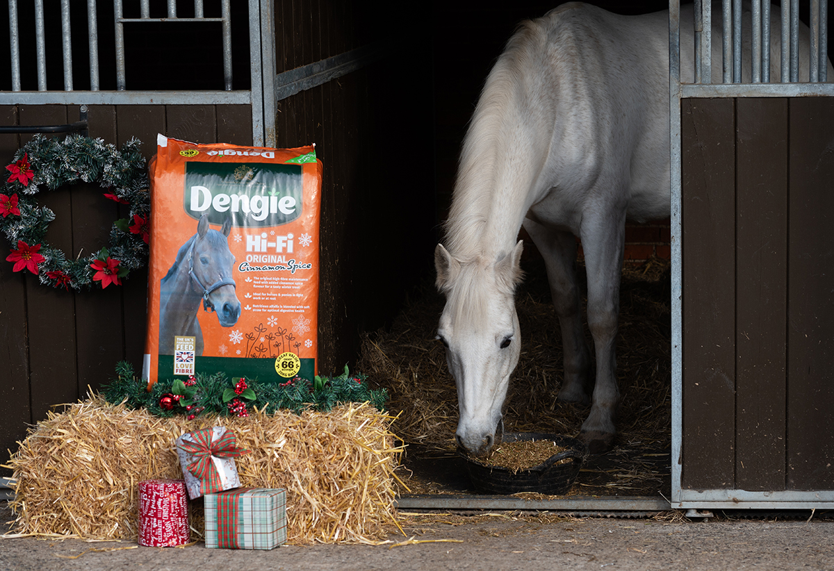 Horse eating Hi-Fi Original with Cinnamon Spice