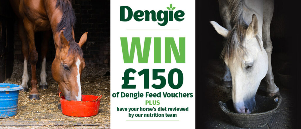 Win £150 giveaway for dengie vouchers