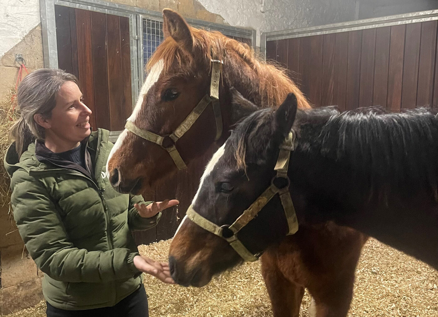 Claire Akers making a fuss of two colt foals