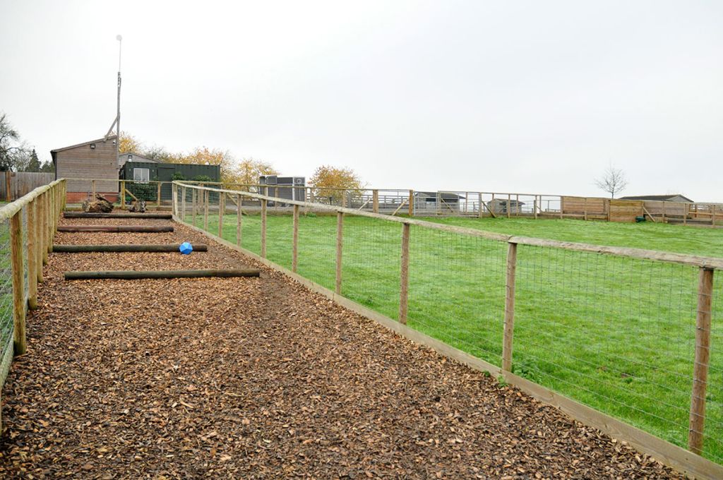 A typical track system set up for horses
