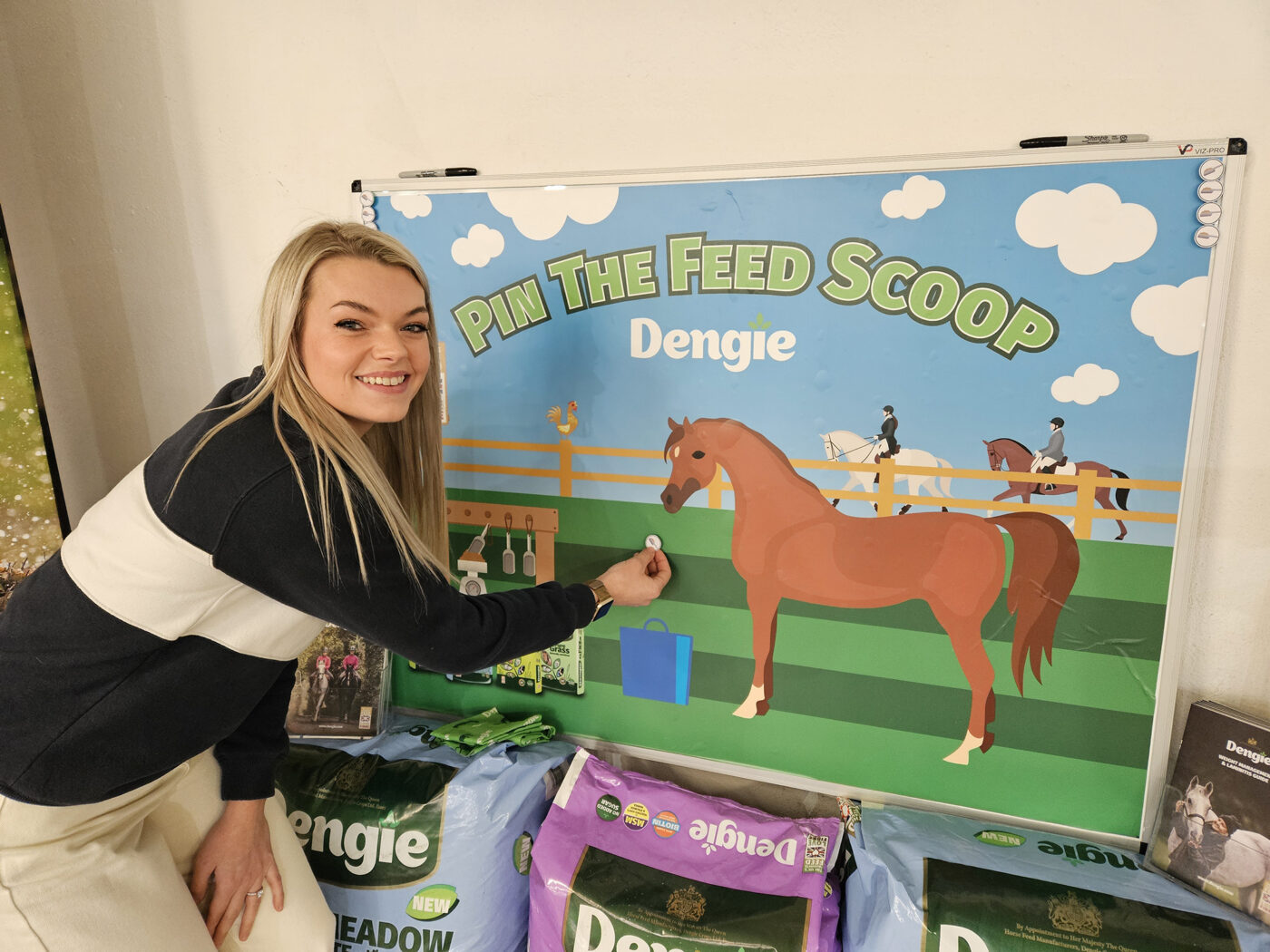 Pin the Feed Scoop Game at Pony Mag Big Day Out