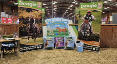 Dengie stand at Pony Mag Big Day Out