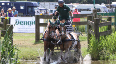 Sandringham Driving Trials