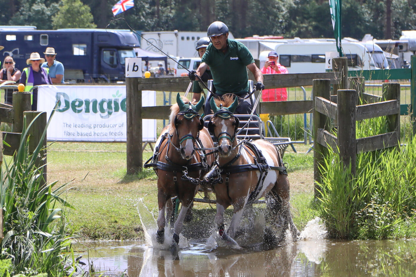 Sandringham Driving Trials