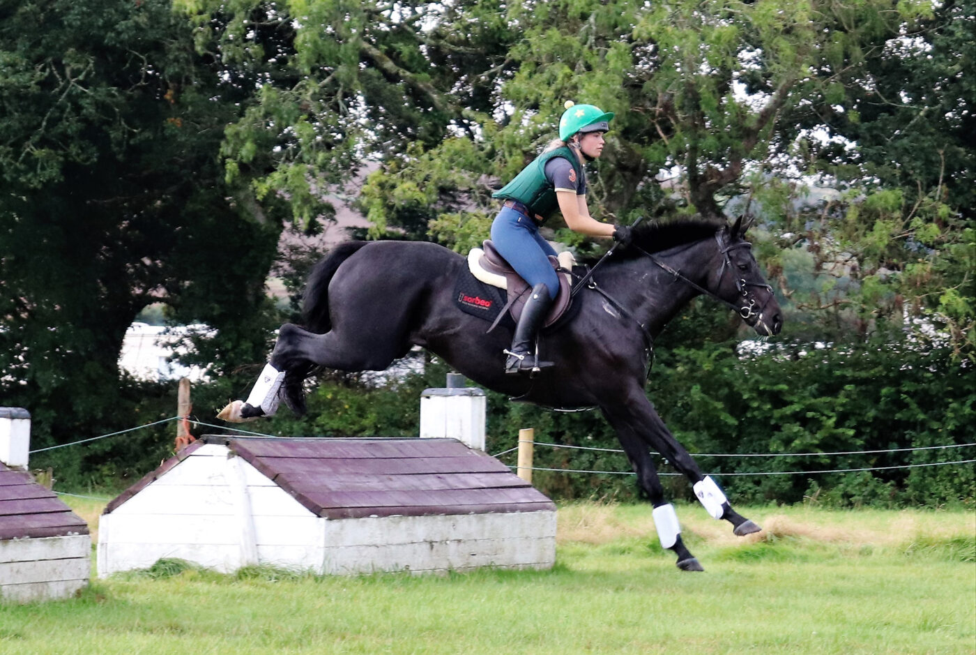 Racehorse Relief