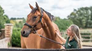 Claire Akers, Performance Horse Nutritionist