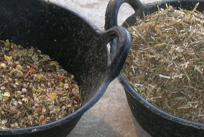 Buckets of horse feed