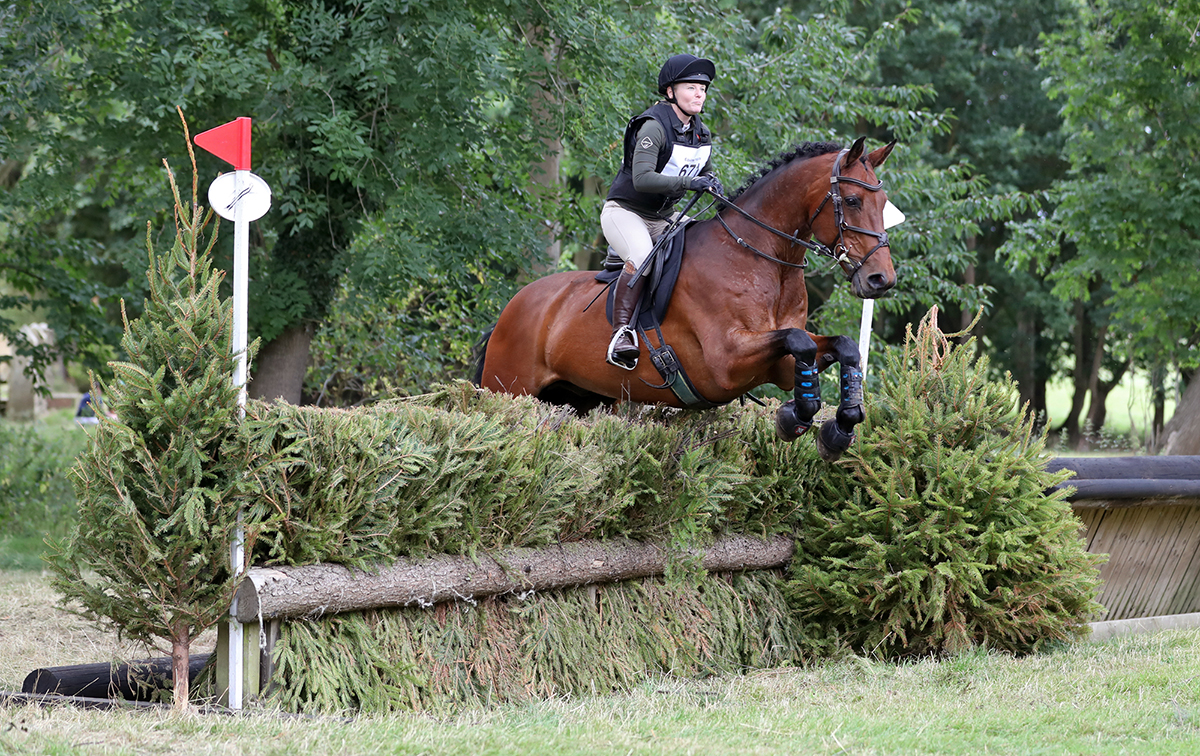 Horse jumping cross country fence