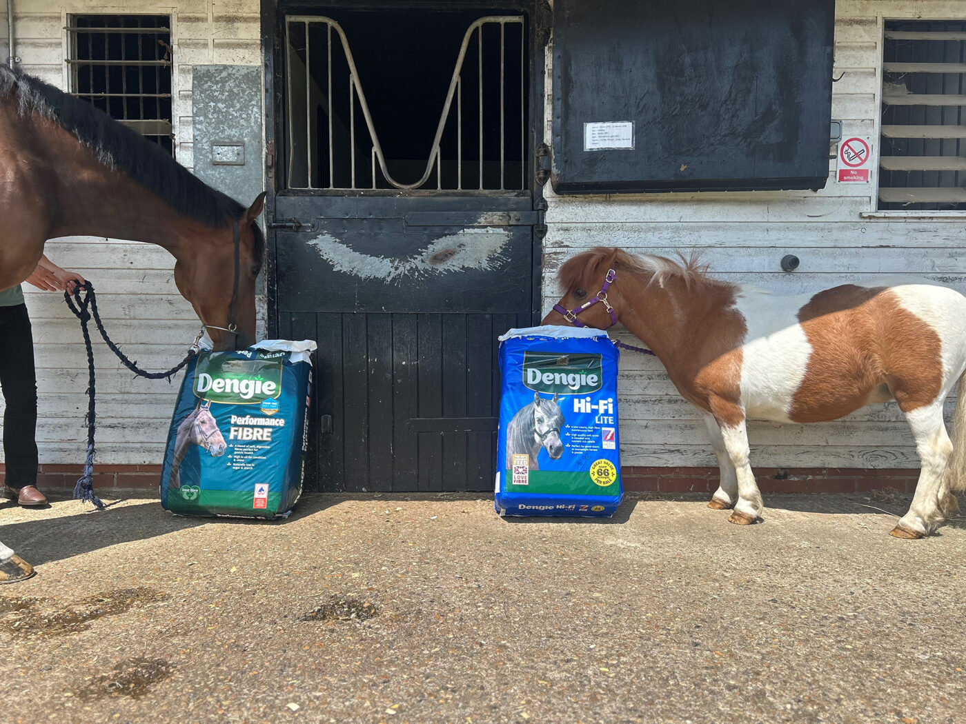 Two horses eating from bags of feed