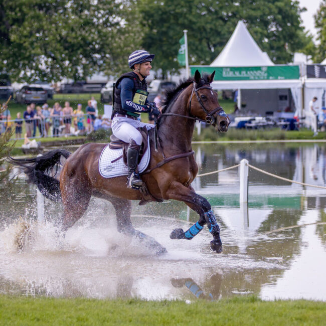 event horse
