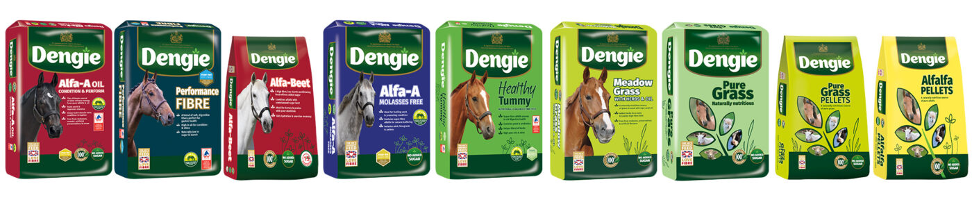 Dengie feeds suitable for horses with ers