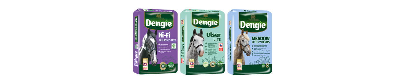 Low calorie feeds for horses with ERS