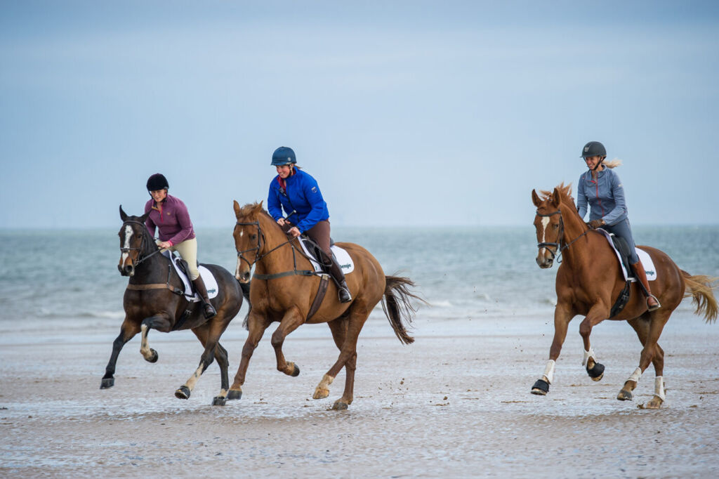 horses galloping along a beach