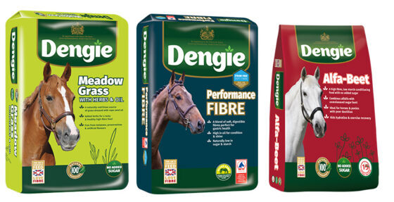 Partial forage replacers
