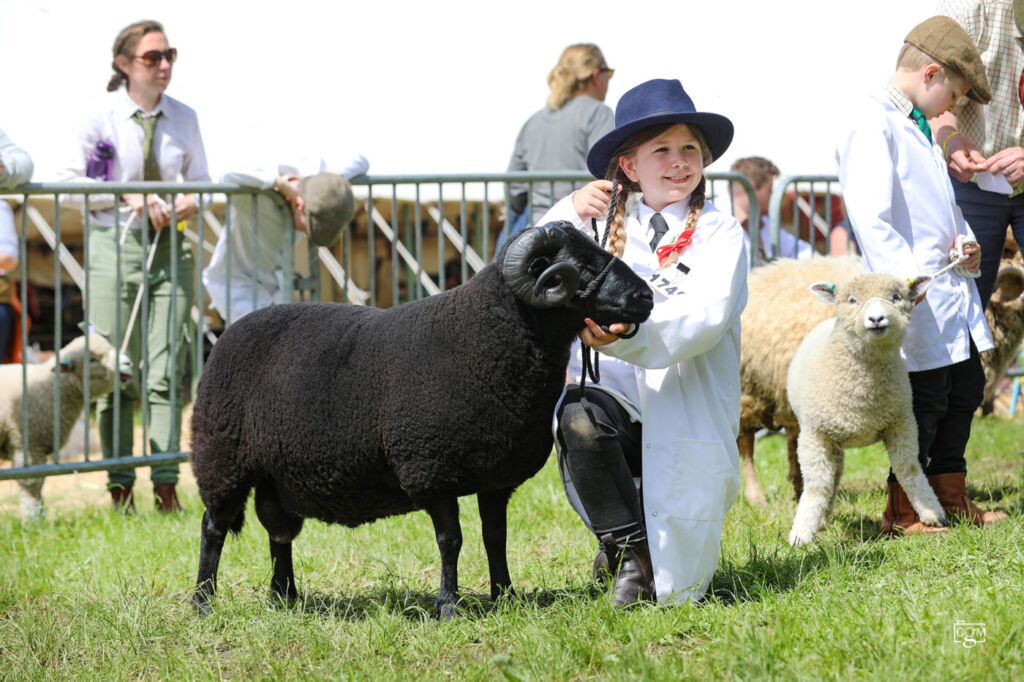 Young Handler Class_Royal Bath & West Show