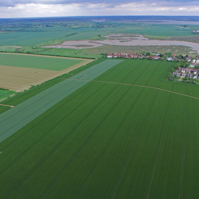 birds eye view of alfalfa field