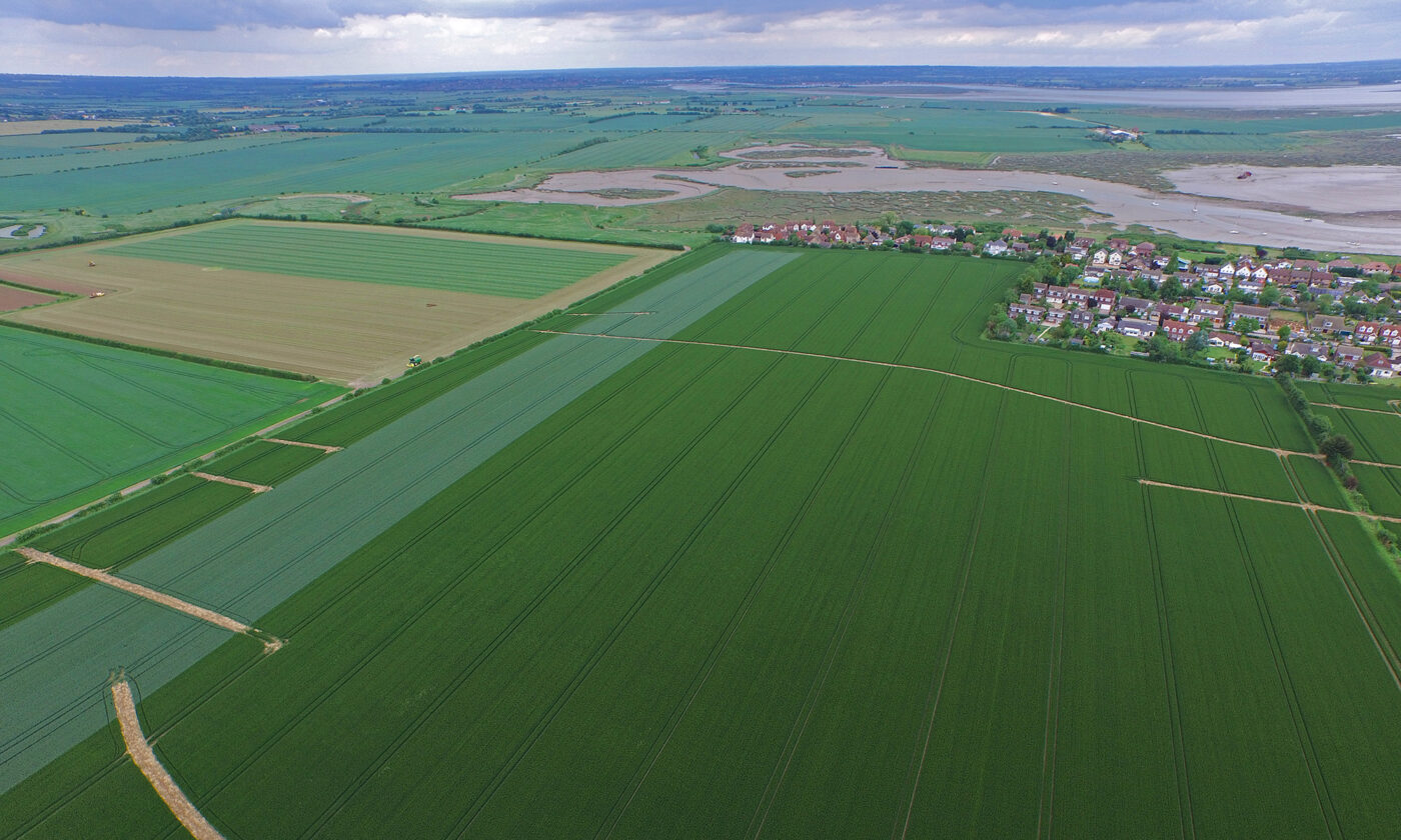 birds eye view of alfalfa field