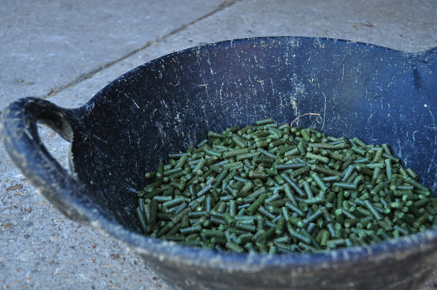 pellets in bucket