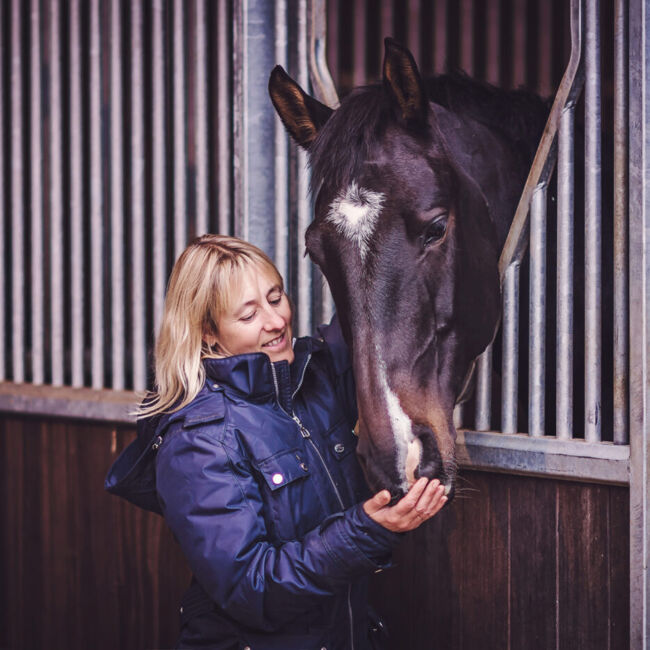 horse in stable