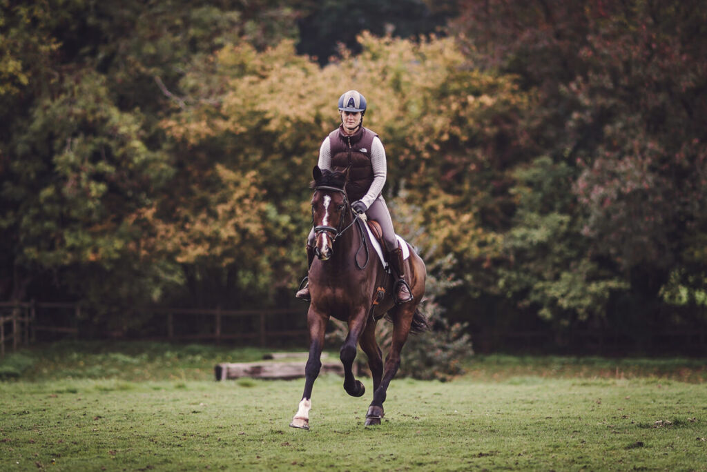 horse and rider in field