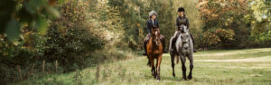 two horse riders in a field
