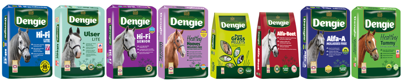 Dengie Feeds for Veteran Horses