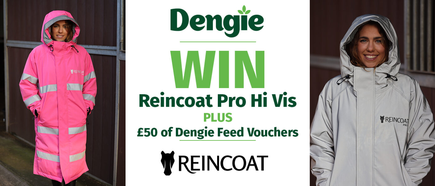 March 2025 Competition Banner - Reincoat