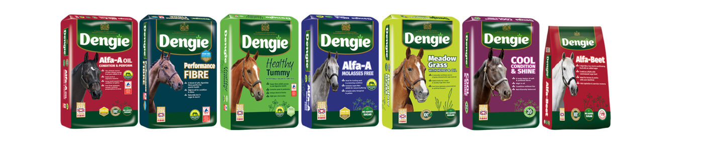 Dengie Feeds for Weight Gain