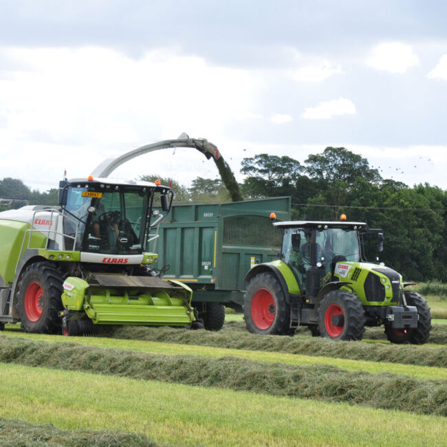 grass harvest