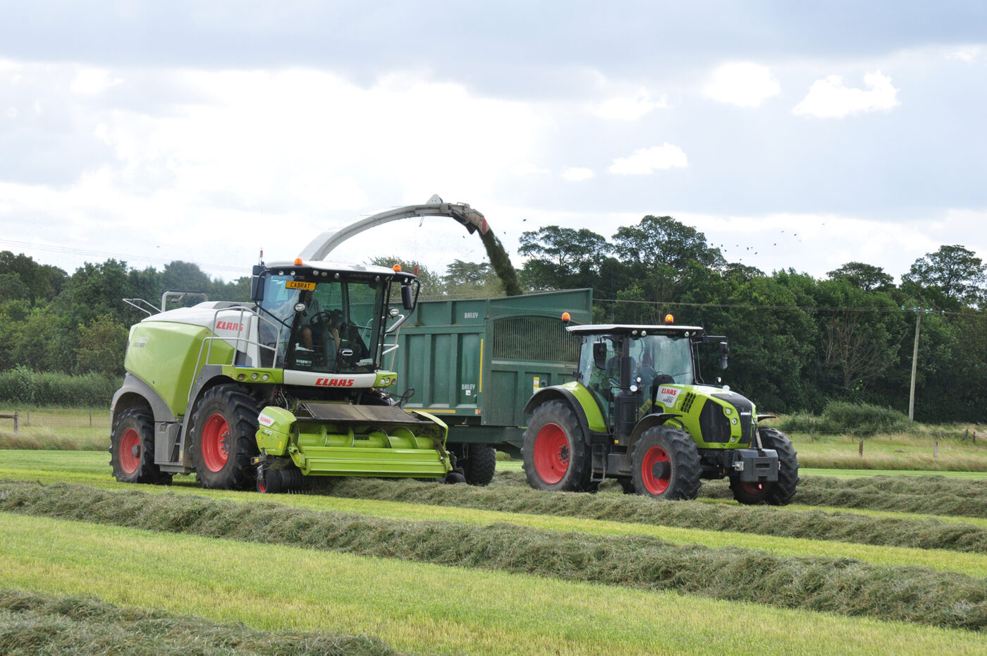 grass harvest