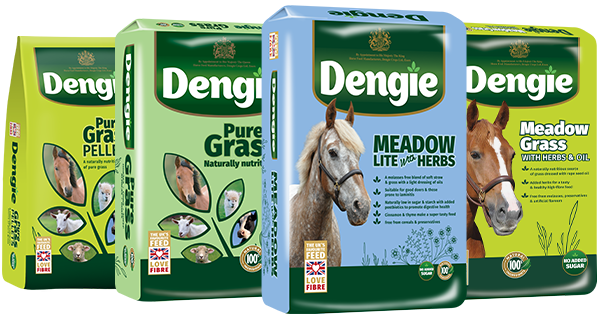 Grass Range