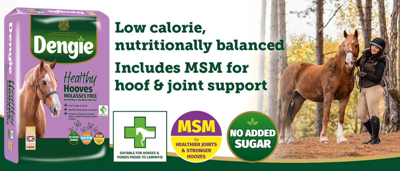 Healthy Hooves Molasses Free Product Banner