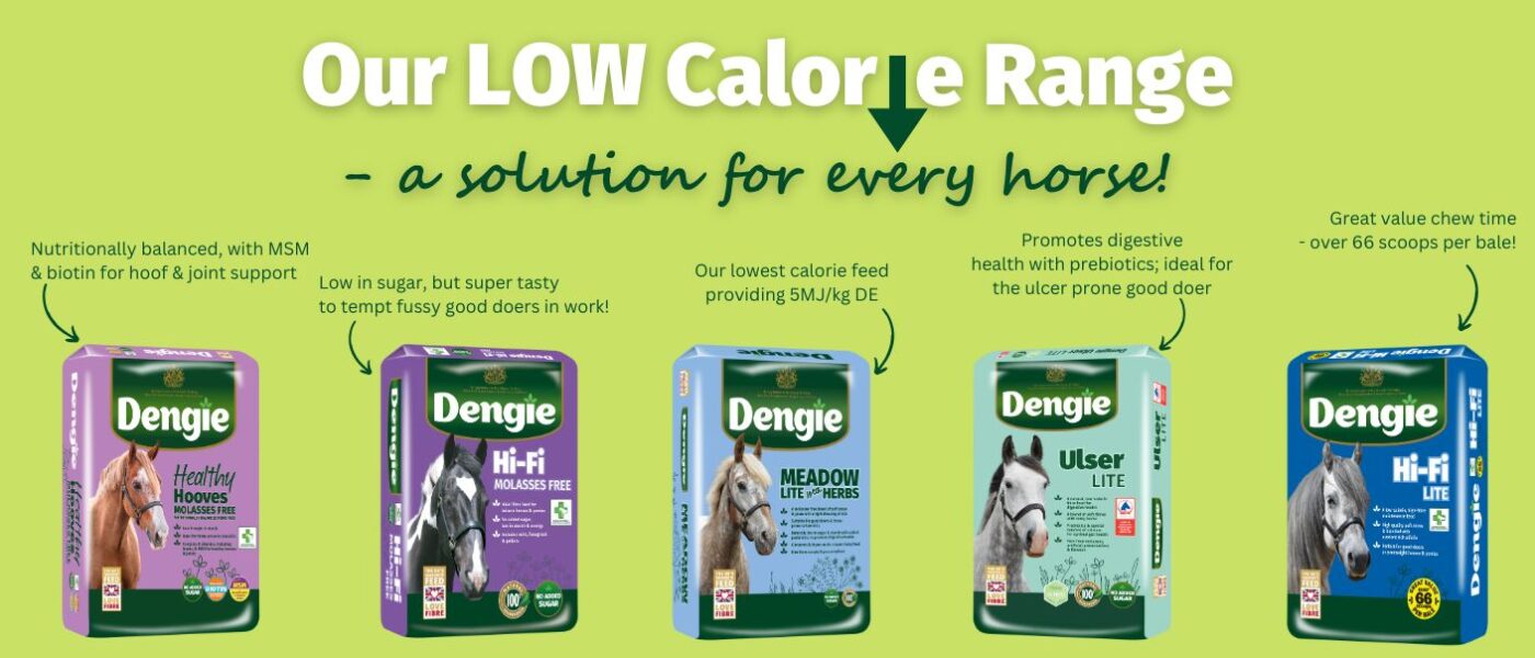 Low Calorie Range Banner