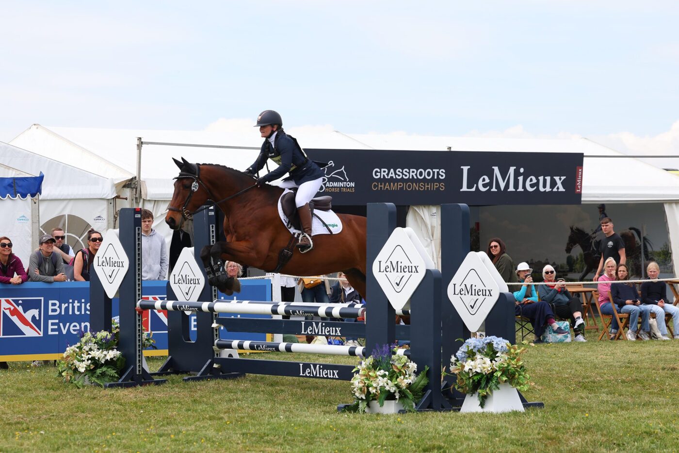 Claire Hirst and Stan_Badminton Grassroots Championships_Showjumping