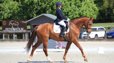 Sarah Suddaby and Otto