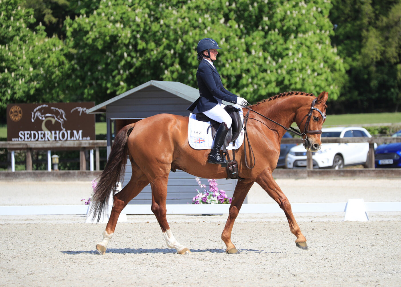 Sarah Suddaby and Otto