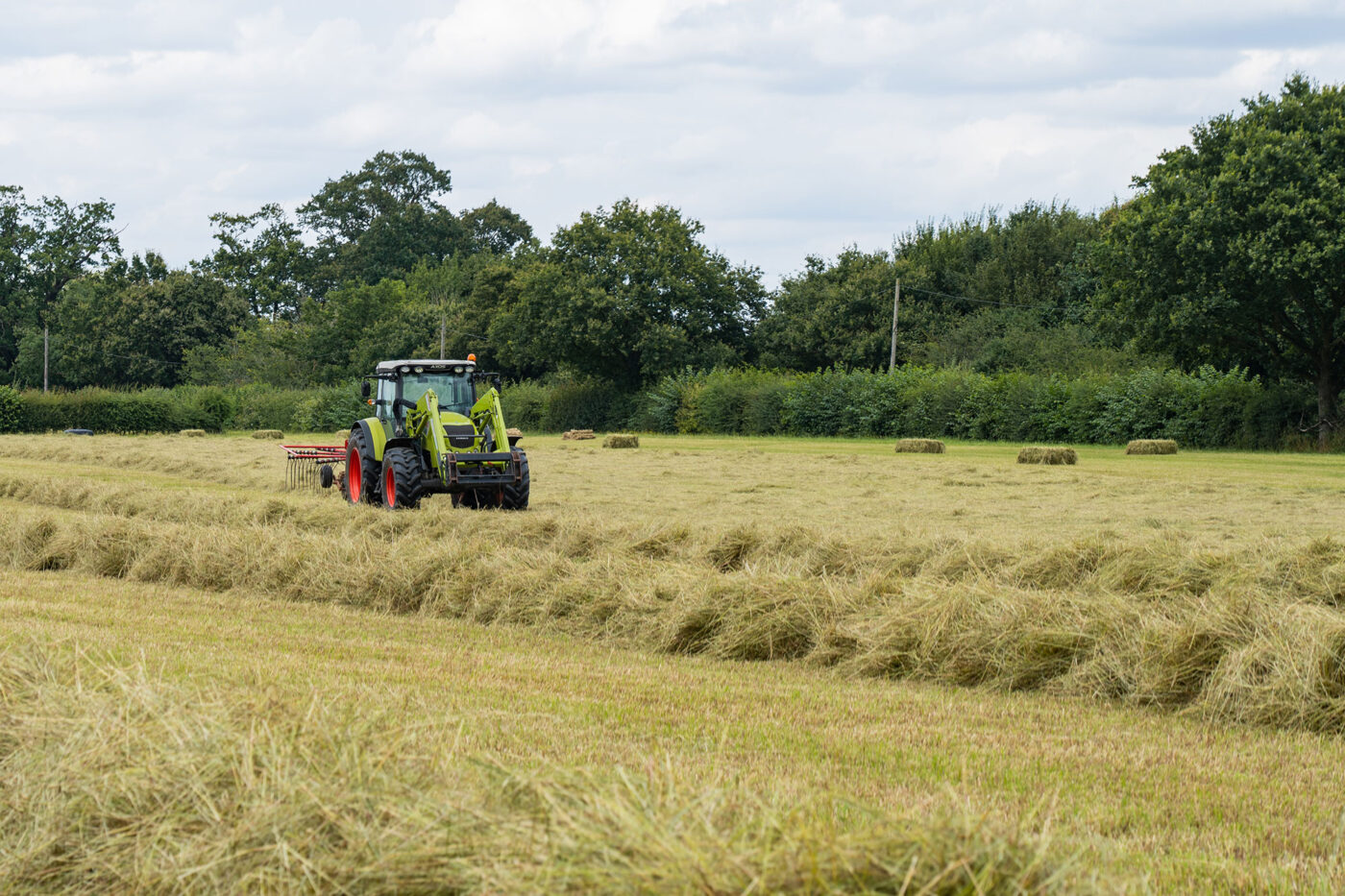 Hay Making
