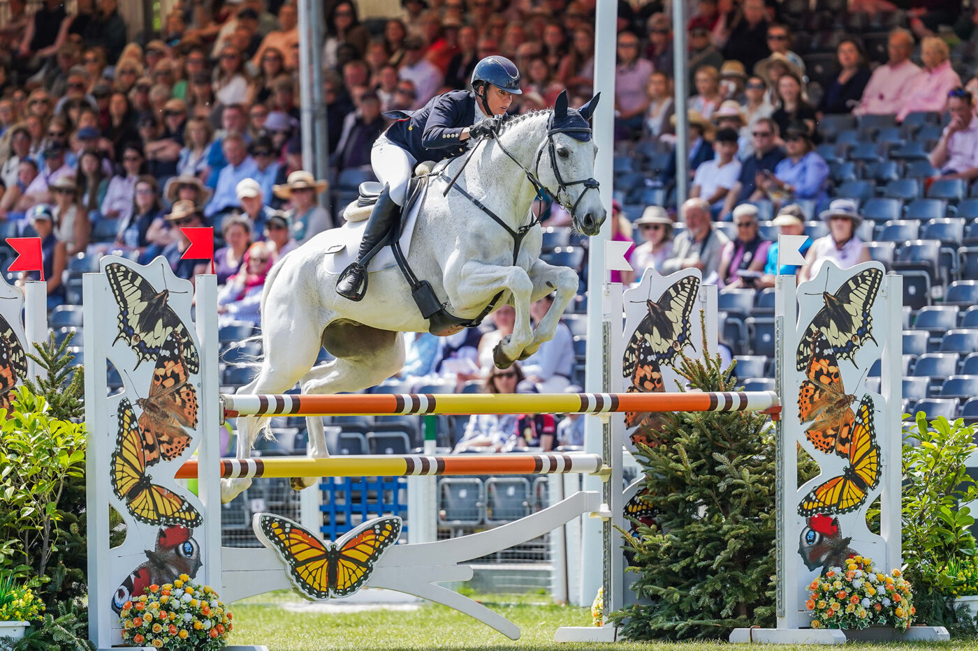 Fiona Kashel and Creevagh Silver de Haar