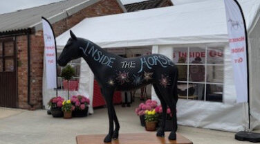 Inside the Horse Model