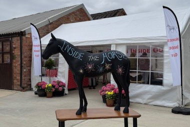 Inside the Horse Model