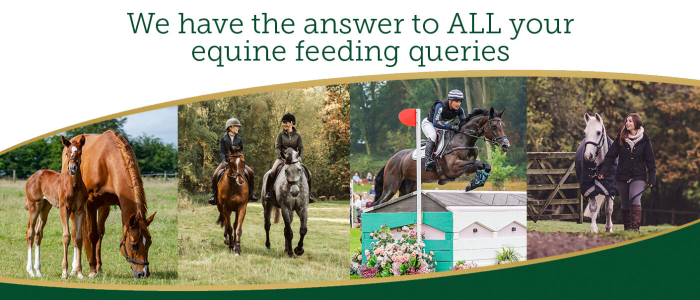 Feed Advice Banner