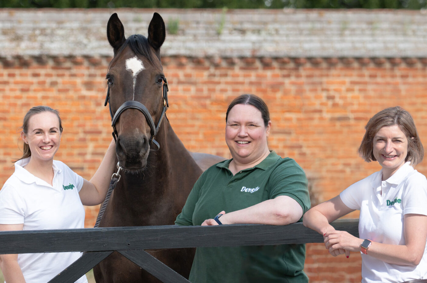 Dengie Nutrition Team