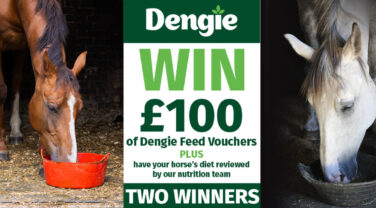 Dengie January 2026 Competition