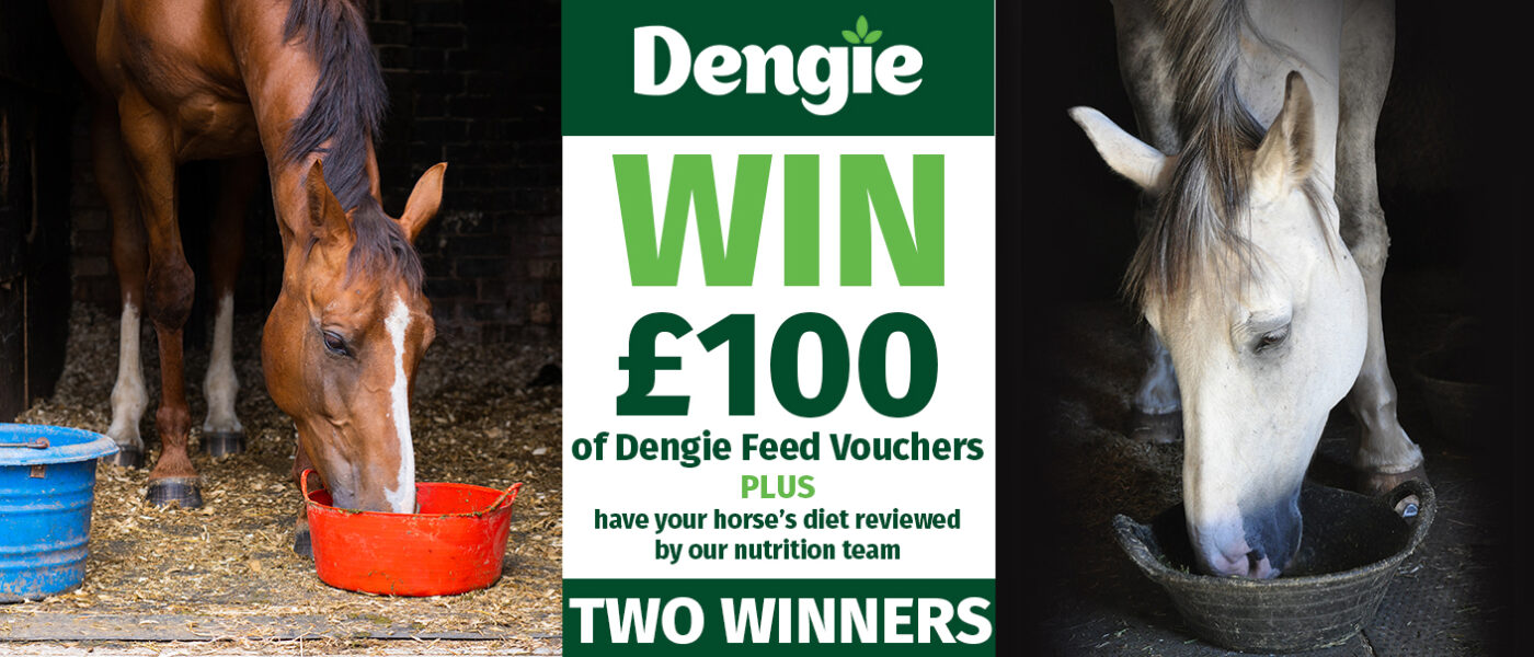 Dengie January 2026 Competition