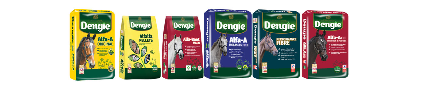 Dengie Feeds for Stud
